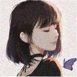 用户 半糖不加冰 头像